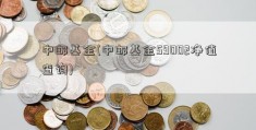 中邮基金(中邮基金59002净值查询)