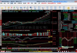 全球500大基渐飞股票伴侣金公司(全球更大的基金公司)