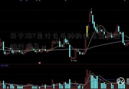 关于XBT是什么币种的信基金定投排行榜息