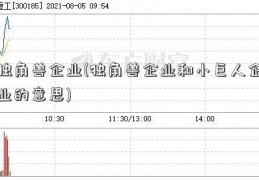 独角兽企业(独角兽企业和小巨人企业的意思)