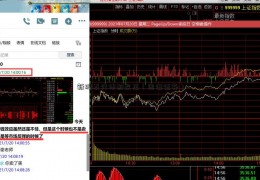 新股发行体制改革（国证证券）