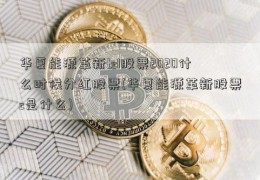 华夏能源革新tcl股票2020什么时候分红股票(华夏能源革新股票c是什么)