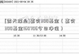 [露天煤业]嘉实300基金（嘉实300基金160706今日净值）