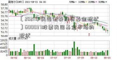 〔2021年我国证券投资基金现状〕600037股票我国基金市场的现状