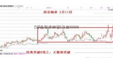 [博通集成股票]基金110010