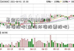 基金161604603311金海环境股吧(金海环境股票股吧)