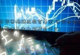 农银策略精选混合基金(农银策略精选混合基金升利配是什么)