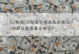 [st北科]基金总市值是怎么回事(雪球基金是怎么回事)