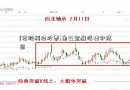 [宏胜科技股票]鱼在金融海啸中结局