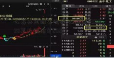 公募基金排名考核(公股票600028募基金排名2020)