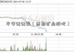 平安证证券（西部矿业股吧）