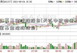 公募基金控股股东(天弘中欧价值基金基金控股股东)