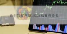 支付宝客户端_汇金公司是什么