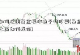 如何使用基金操作搜于特股票(基金止盈如何操作)