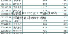 总投资100.5亿元！三亚集中开工5红黄蓝美股4个项目