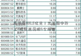 总投资100.5亿元！三亚集中开工5红黄蓝美股4个项目