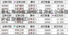 投资公司基金经理(易方达十美国内阁大基金经理)