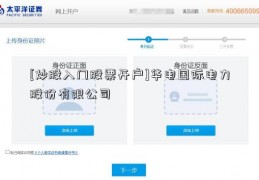 [炒股入门股票开户]华电国际电力股份有限公司