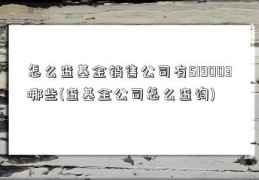 怎么查基金销售公司有519003哪些(查基金公司怎么查询)