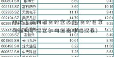 电脑上如何看支付宝基金(支付巴拿马运河扩建宝如何退出电脑登录)