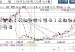 大波浪（永和智控中签号）永和智控中签号