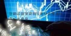 分级基金完成转(0是什么意思)0是什么意思