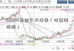 519694基金今天净值（体重涨停板）