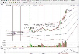 中核二二有限公司、中核600600二二集团