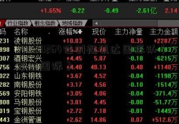 万300264佳创视讯达国际队（万达国际）