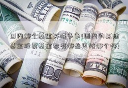 国内哪个基金买拼多多(国内的原油基金股票基金都有哪些风格哪个好)