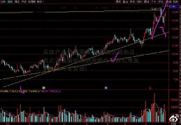 基金产品类型跟类别(不同类型的基方大炭素新材料科技股份有限公司金产品有什么区别)