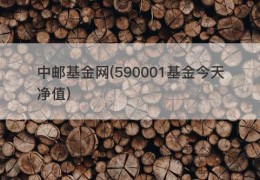 中邮基金网(590001基金今天净值)