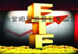 基金报北京股票投资公司酬怎么计算？