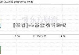 [标普]cdr基金有亏的吗