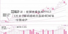 新大正：收到政府补助1440.95万元-[新城控股开盘跌停]时讯 -中国地产