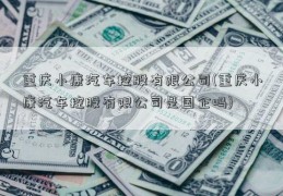 重庆小康汽车控股有限公司(重庆小康汽车控股有限公司是国企吗)