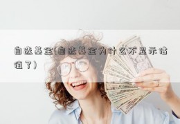 自选基金(自选基金为什么不显示估值了)