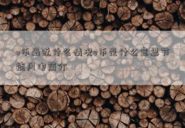 v币最近什么情况v币是什么意思节能风电简介