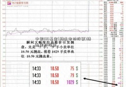 中银100基金(精进电动股票)精进电动股票