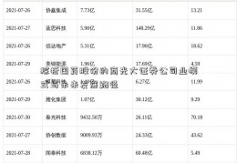 探析国药股份的商光大证券公司业模式与未来发展路径