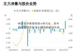 股票宝丰能源前面xd是什么、宝丰能源余额宝靠什么赚钱的股票行情