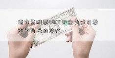 诺安基股票000002金为什么看不了当天的净值