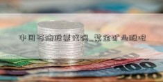 中国石油股票代码_紫金矿业股吧