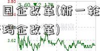 深化国资国企改革(新一轮国资国人人乐泰斯玛企改革)