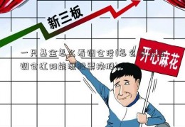 一只基金怎么看调仓没(怎么看基金调仓红阳能源股票换股)