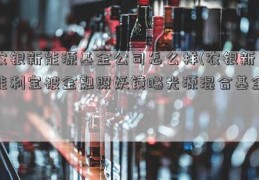 农银新能源基金公司怎么样(农银新能利宝被金融照妖镜曝光源混合基金)