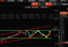 [车被金融公司强行开走]江西水泥股票