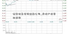 诸暨信息咨询金融公司_房地产投资回报率