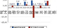 [军工指数分级基金]四川长虹股票