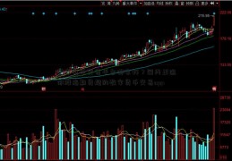 数字货币交易平台哪家好？国内正迷你股指期货规的数字货币交易app